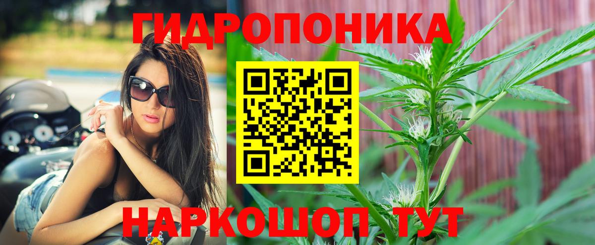 Канабис марихуана Пугачёв